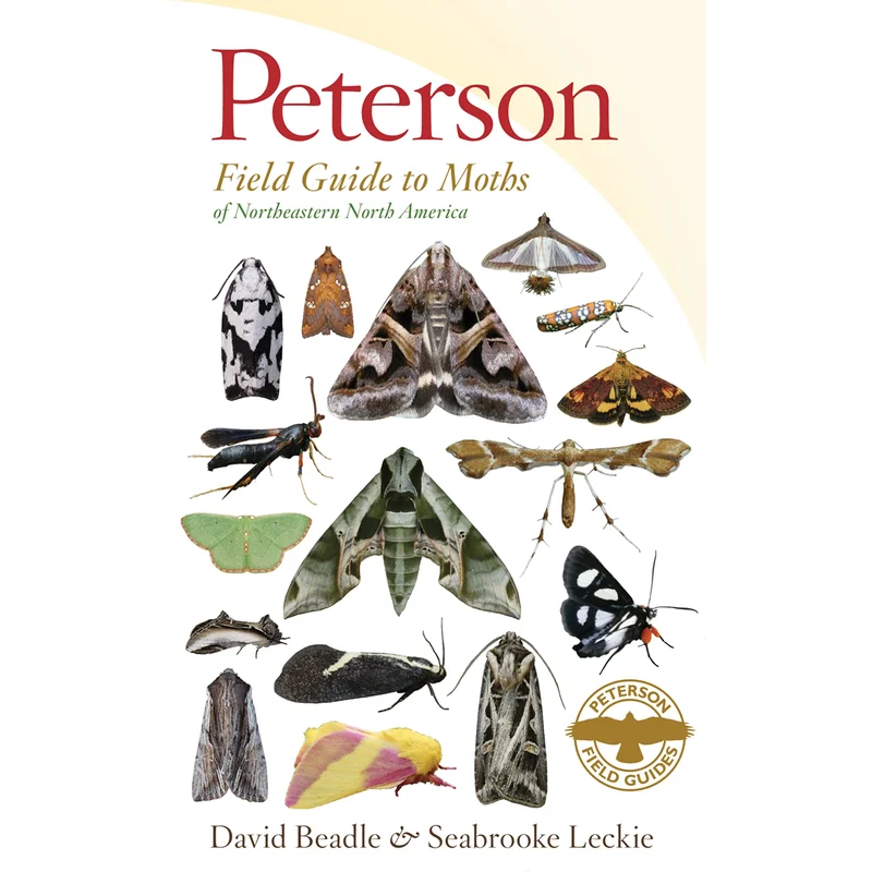 Peterson Field Guide to Moths of Northeastern North America