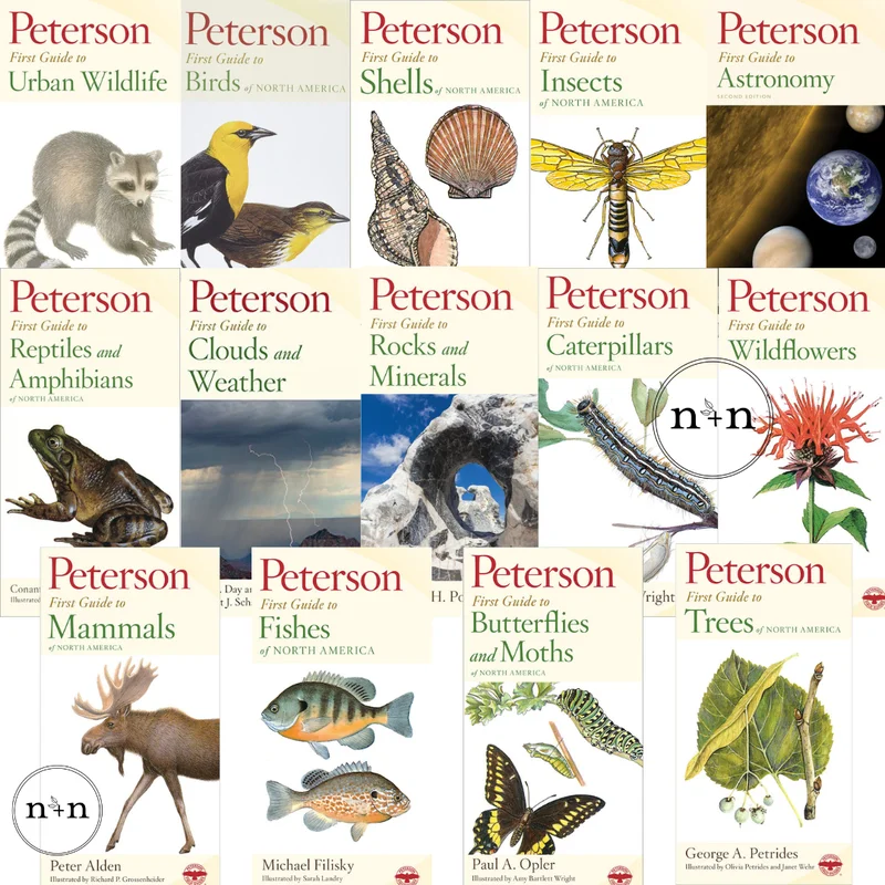 Peterson First Guides – Full 14 Book Set