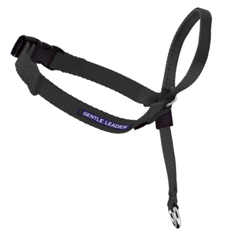 Petsafe Gentle Leader Quick Release Black Headcollar for Dogs (Small, 5-25 lbs)