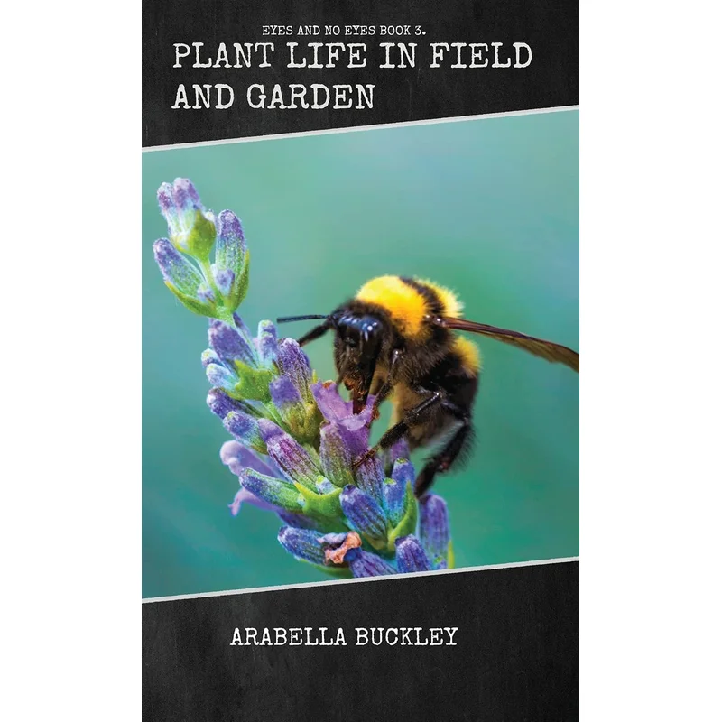 Plant Life in Field and Garden by Arabella Buckley (Book 3 of 6: Eyes and No Eyes)