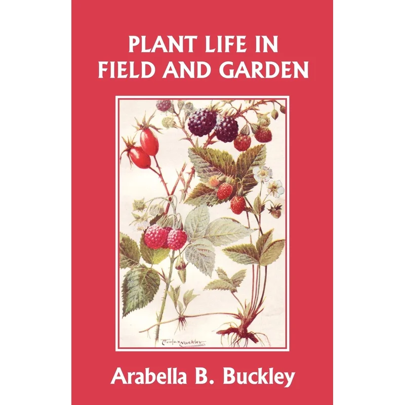 Plant Life in Field and Gardens by Arabella B. Buckley (Yesterday’s Classics)