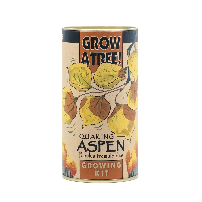 Quaking Aspen Grow a Tree Kit