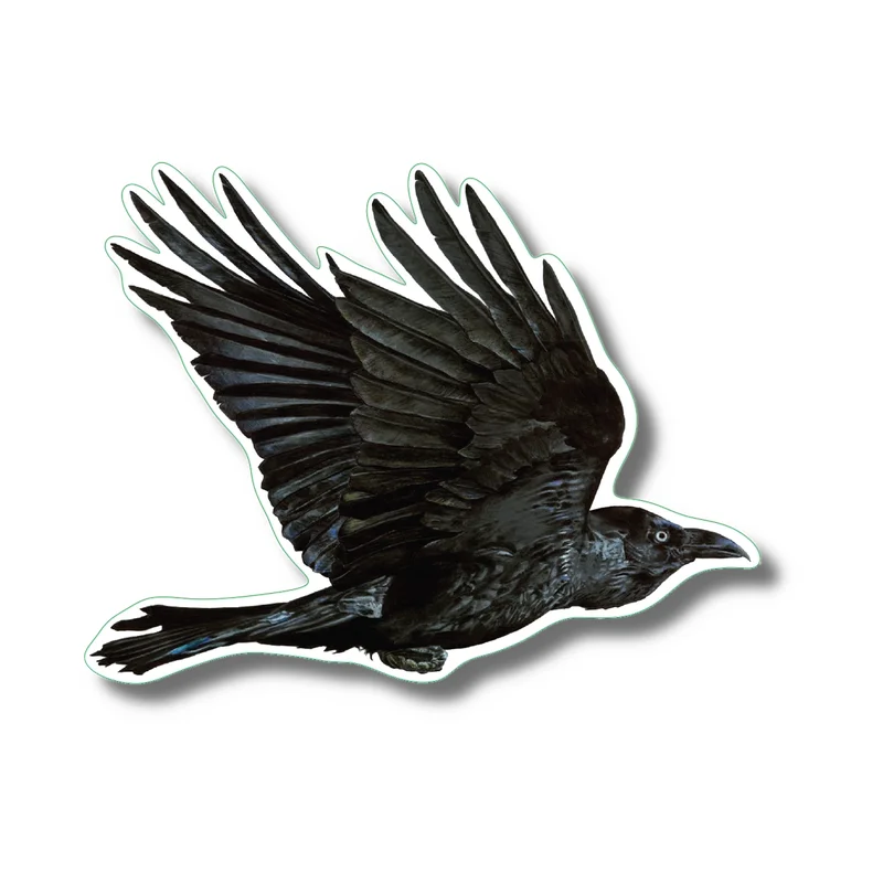 Raven Nature Sticker