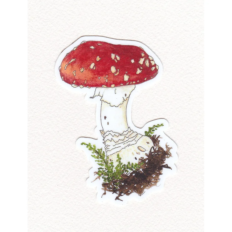 Red Amanita Muscaria Mushroom Waterproof Sticker (Twig & Moth)