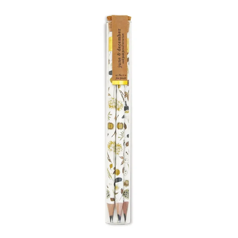 Seed Pods Pencil Terrarium, set of 5 pencils