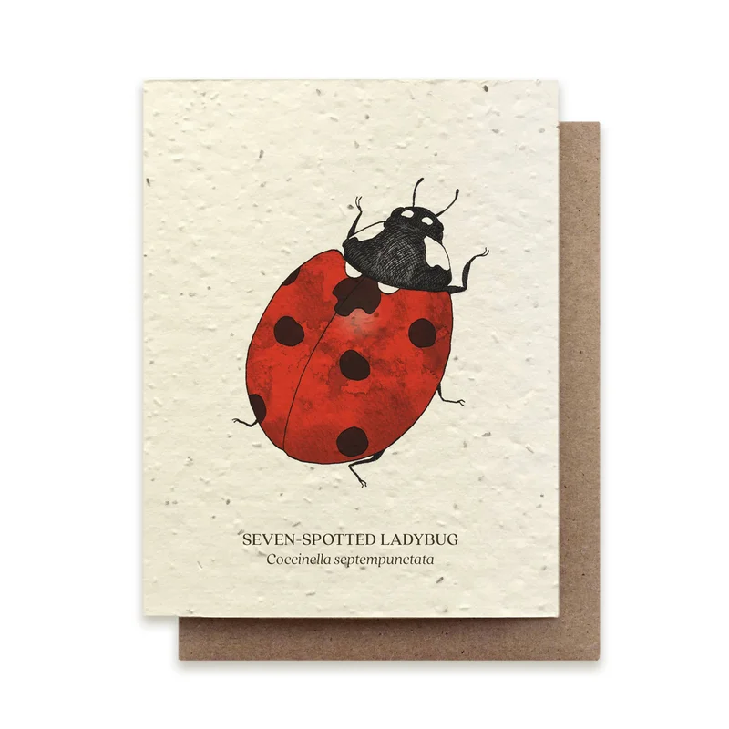 Seven-Spotted Ladybug Plantable Wildflower Card