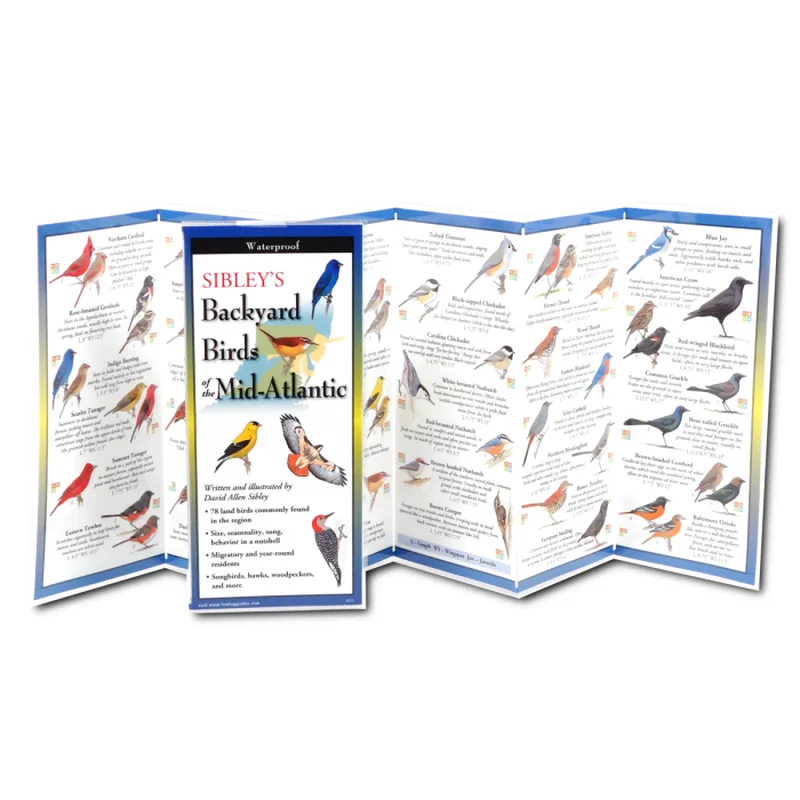 Sibley’s Backyard Birds of Mid-Atlantic (Nature FoldingGuide)