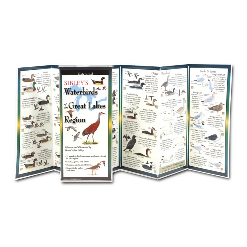 Sibley’s Waterbirds of the Great Lakes (Nature FoldingGuide)
