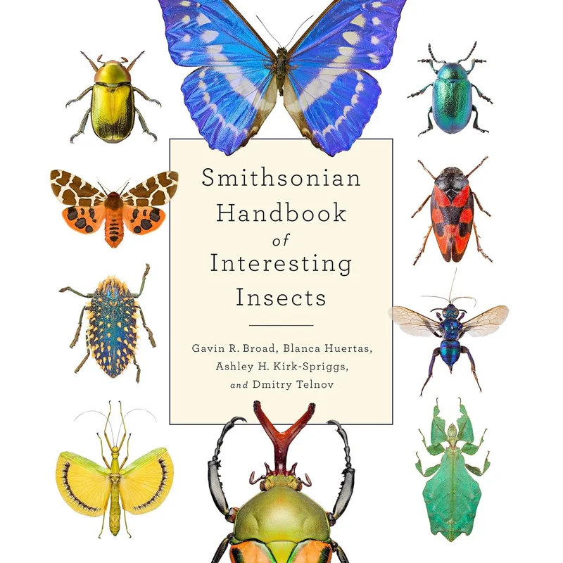 Smithsonian Handbook of Interesting Insects by Blanca Huertas