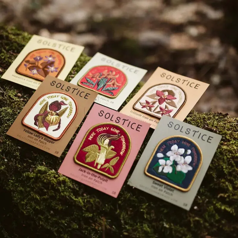 Spring Wildflower Patch Variety Pack