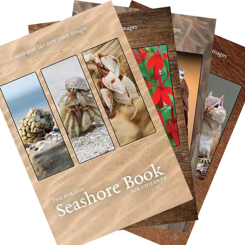 The Burgess Book Bundle (with new images)