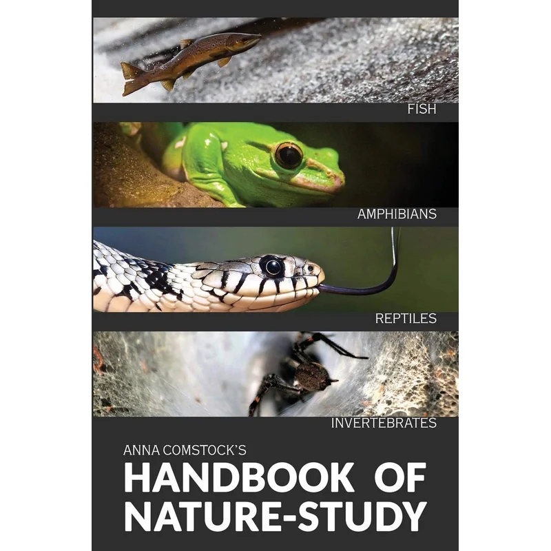 The Handbook Of Nature Study in Color – Fish, Reptiles, Amphibians, Invertebrates by Anna B. Comstock
