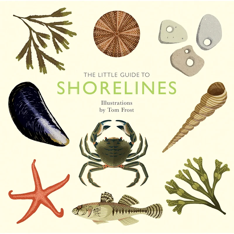 The Little Guide to Shorelines (Little Guides) by Alison Davies