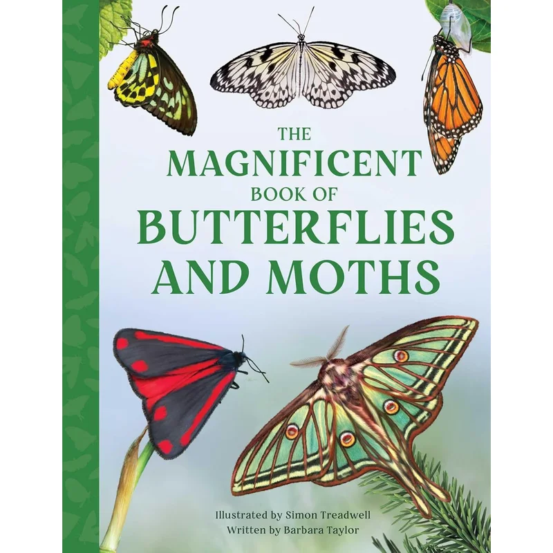 The Magnificent Book of Butterflies and Moths (Magnificent Book of) by Barbara Taylor