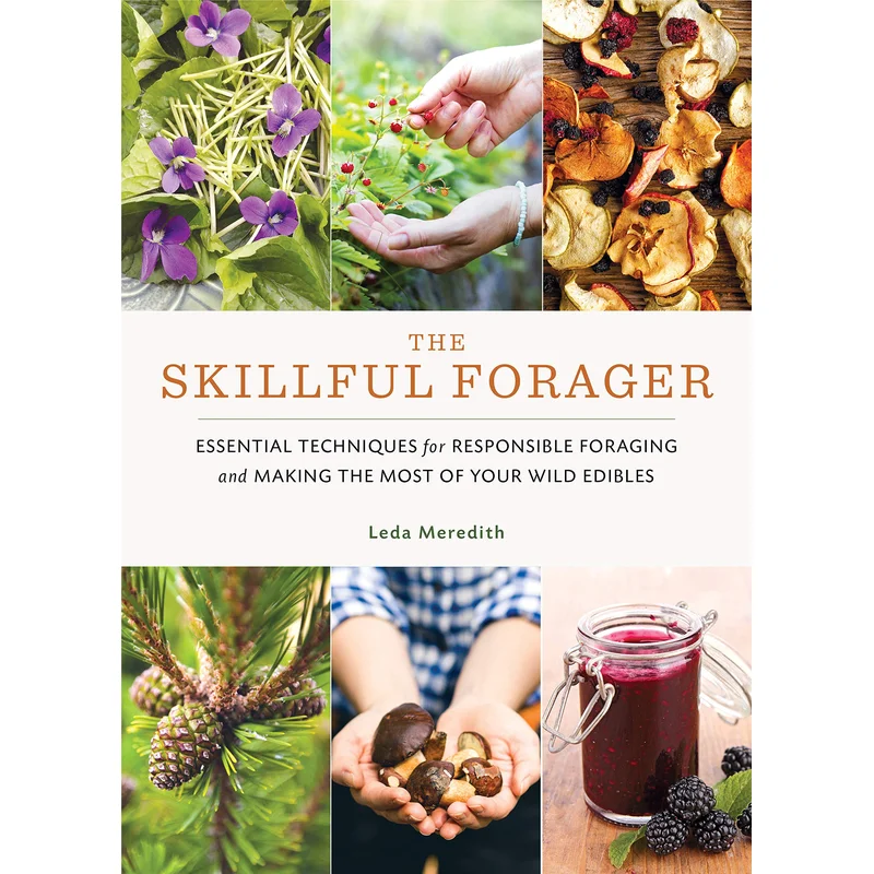 The Skillful Forager by Leda Meredith