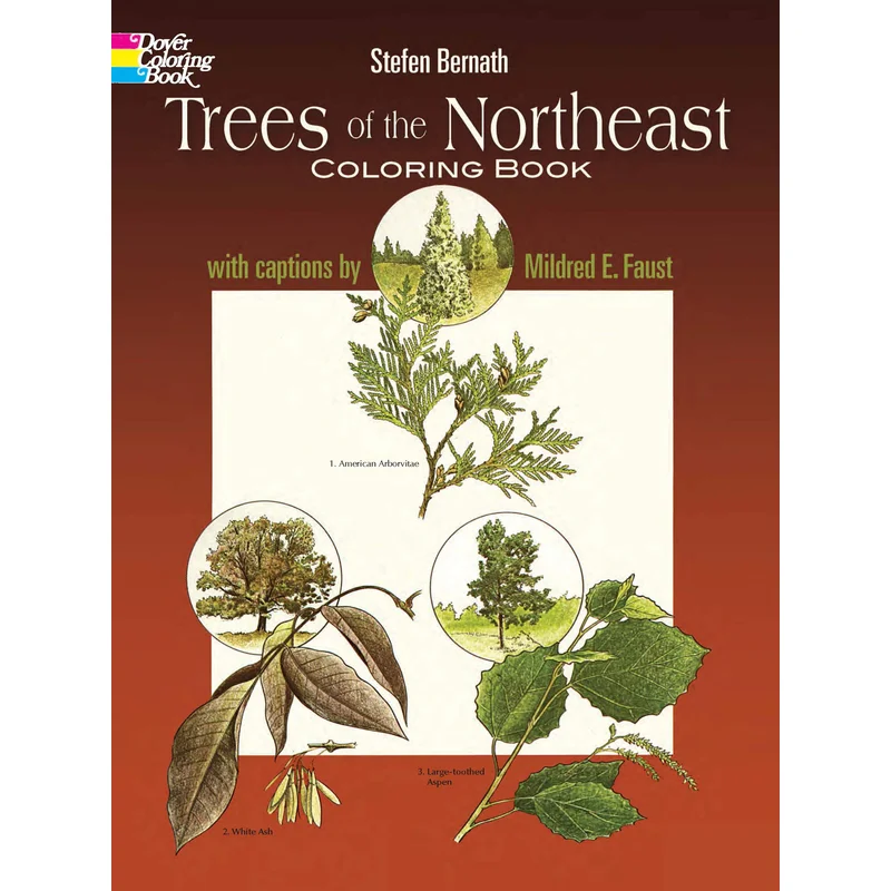 Trees of the Northeast Coloring Book