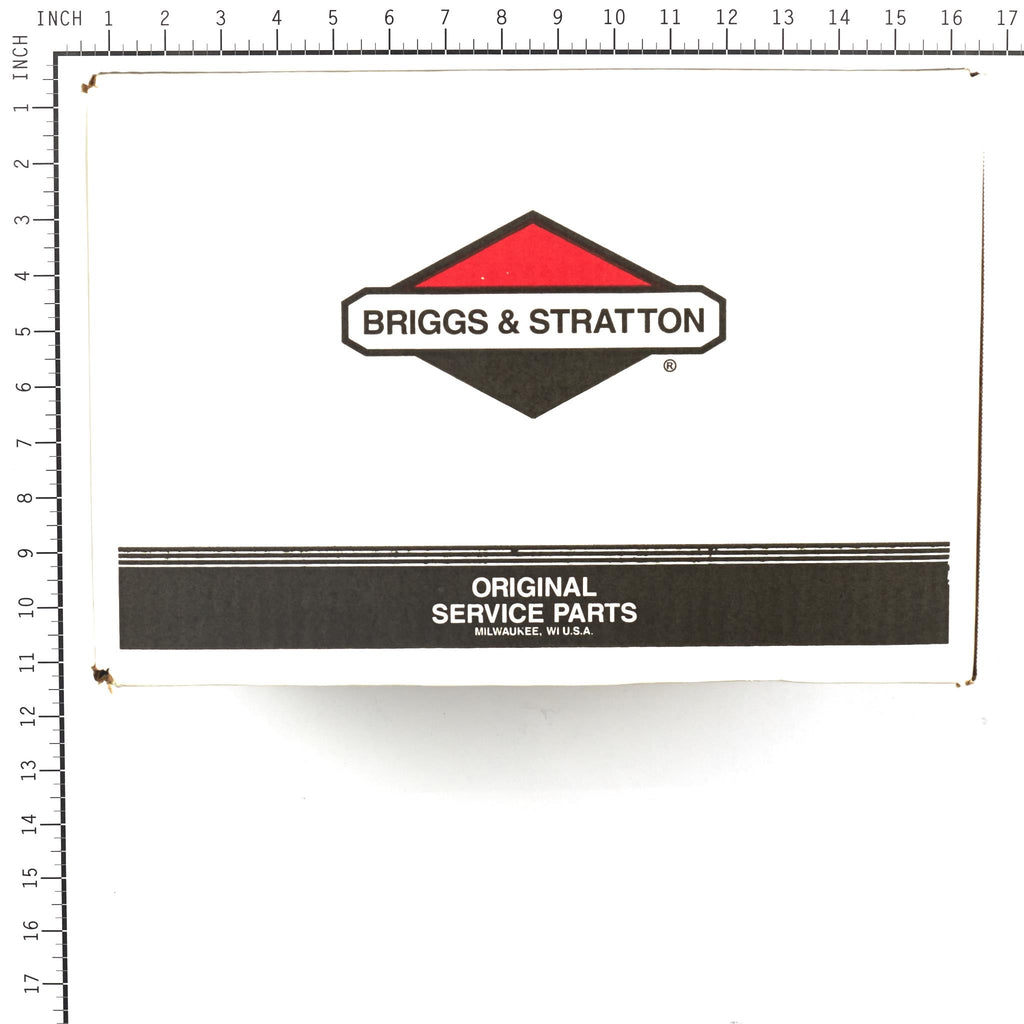 Briggs & Stratton - 311553GS - PUMP