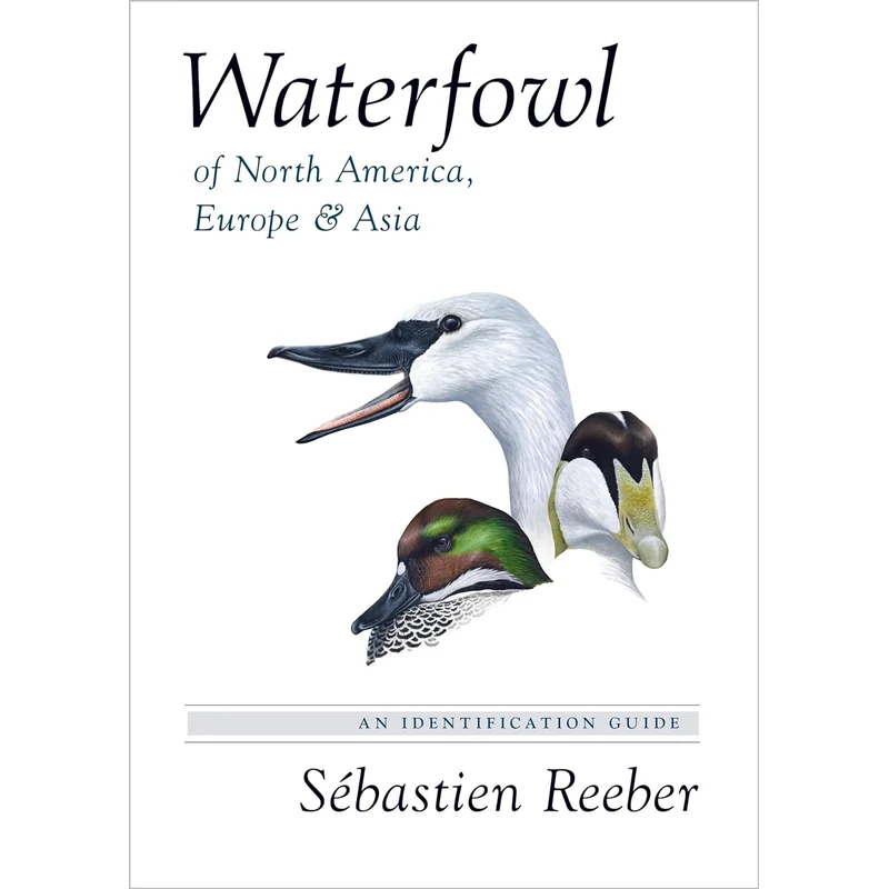 Waterfowl of North America, Europe & Asia: An Identification Guide by Sebastien Reeber