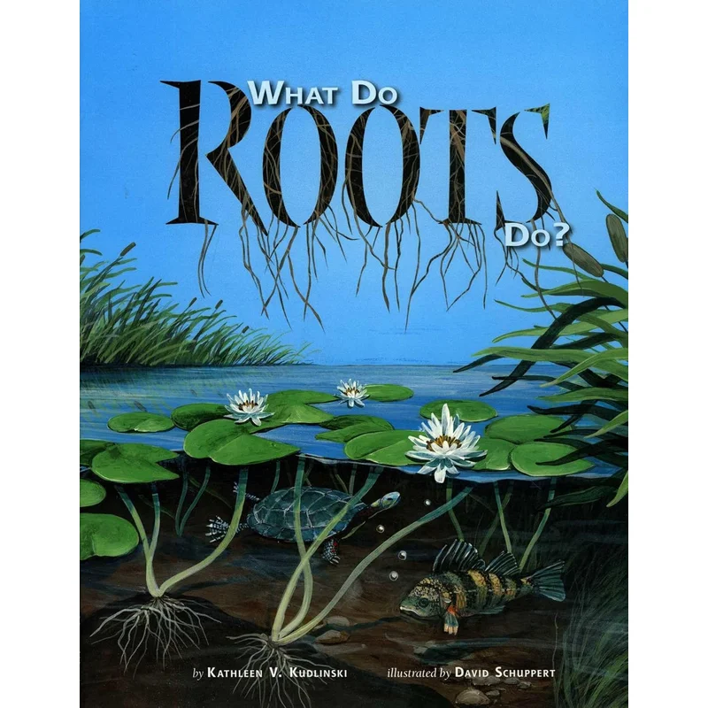 What Do Roots Do? by Kathleen V. Kudlinski