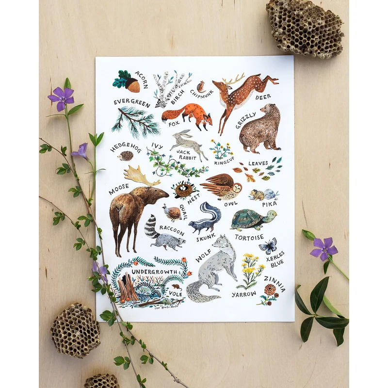 Woodland Alphabet Art Print